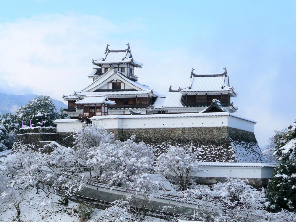 雪の福知山城.JPG