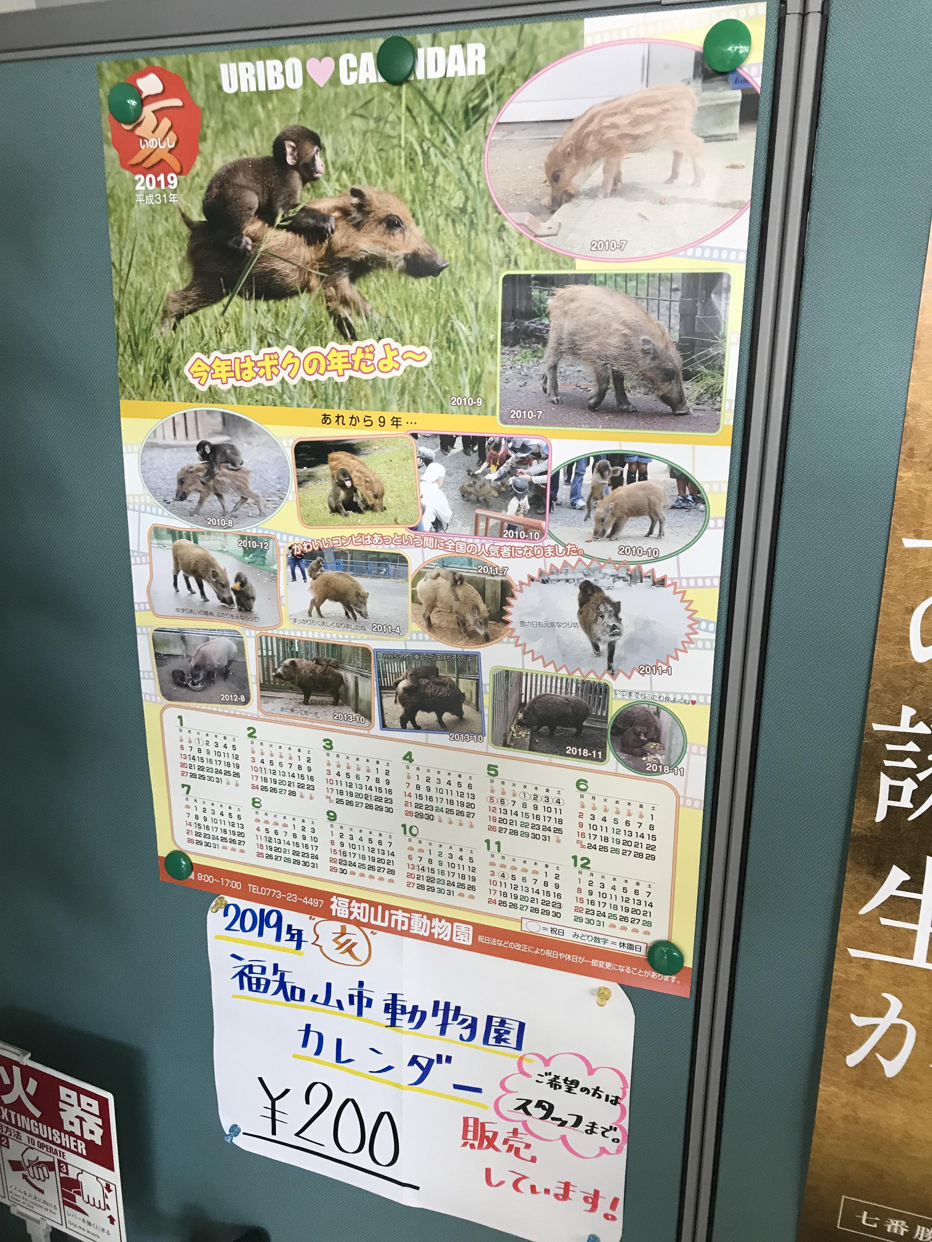 福知山市動物園カレンダー２０１９を福知山観光案内所にて販売中 